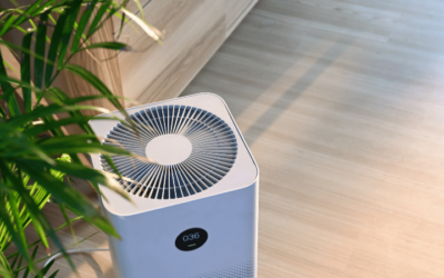 Air: Maintaining Indoor Air Quality for a Healthy Home