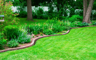 Lawn and Pest Care: Responsible Practices for a Safe and Healthy Environment