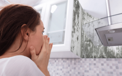 Mold Sensitivity: Addressing Mold Concerns for a Peaceful Stay